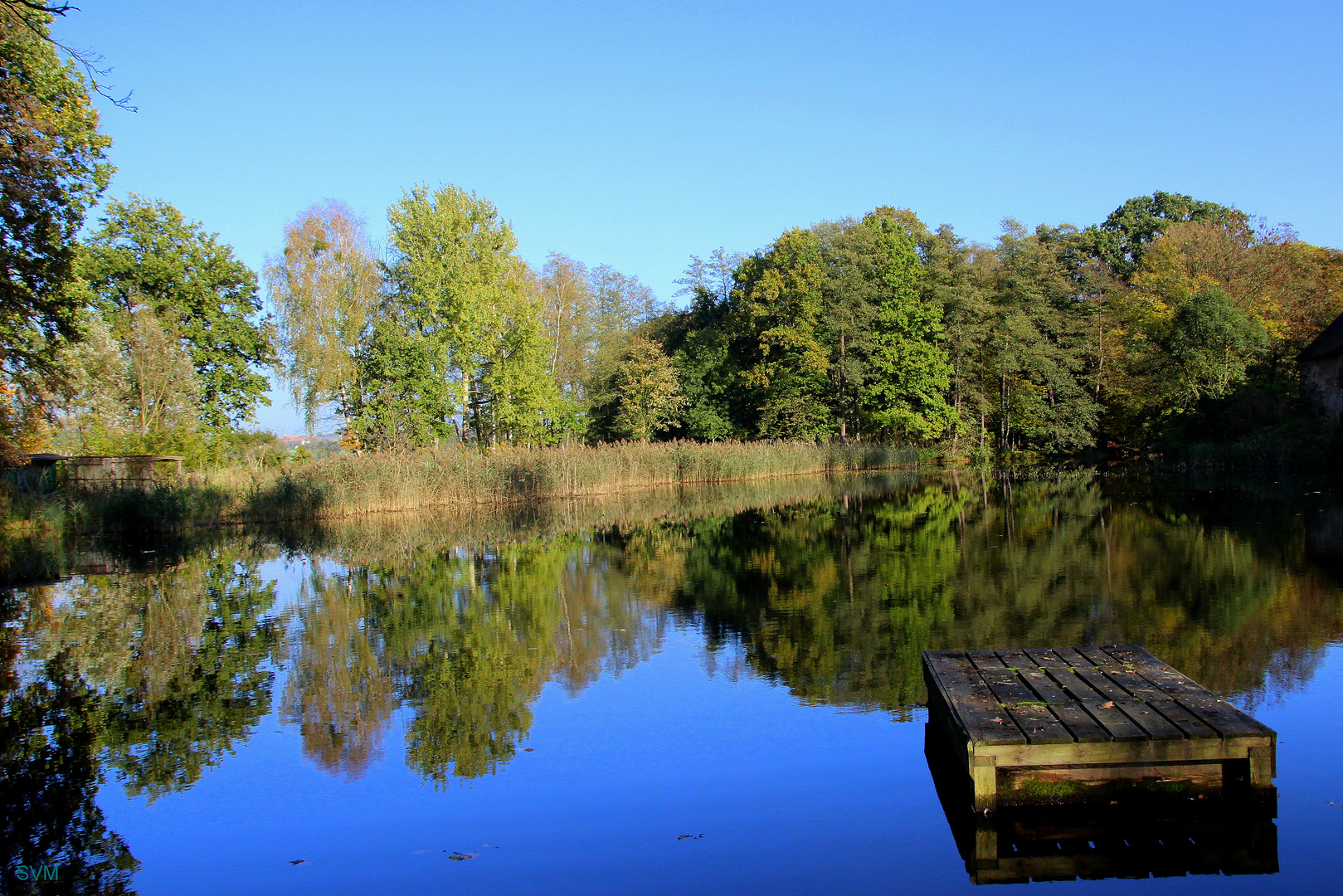 Teich bei Nechern (Krs. Bautzen)