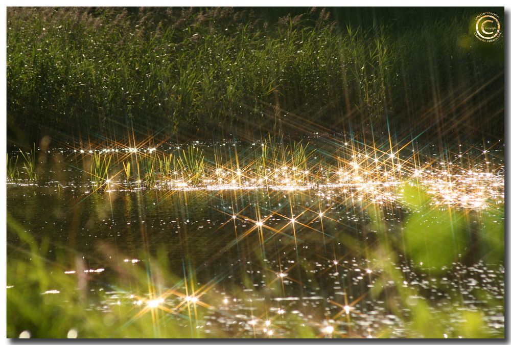 Teich bei Parkentin