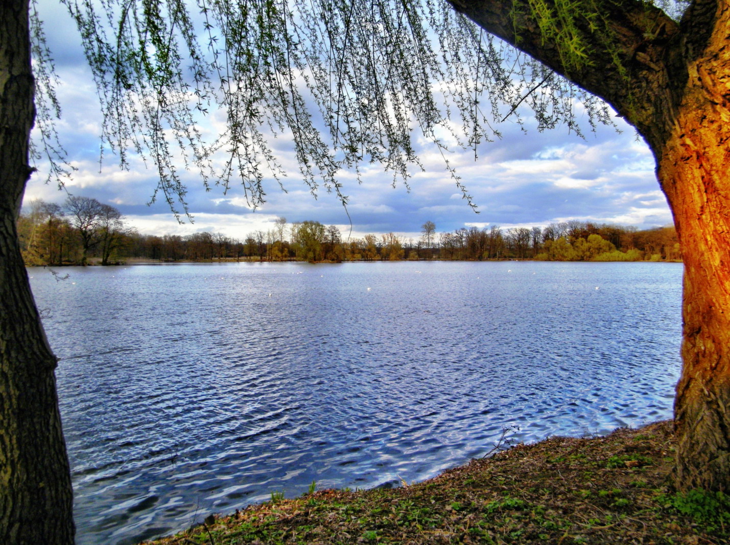 Teich bei Riddagshausen