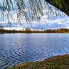 Teich bei Riddagshausen