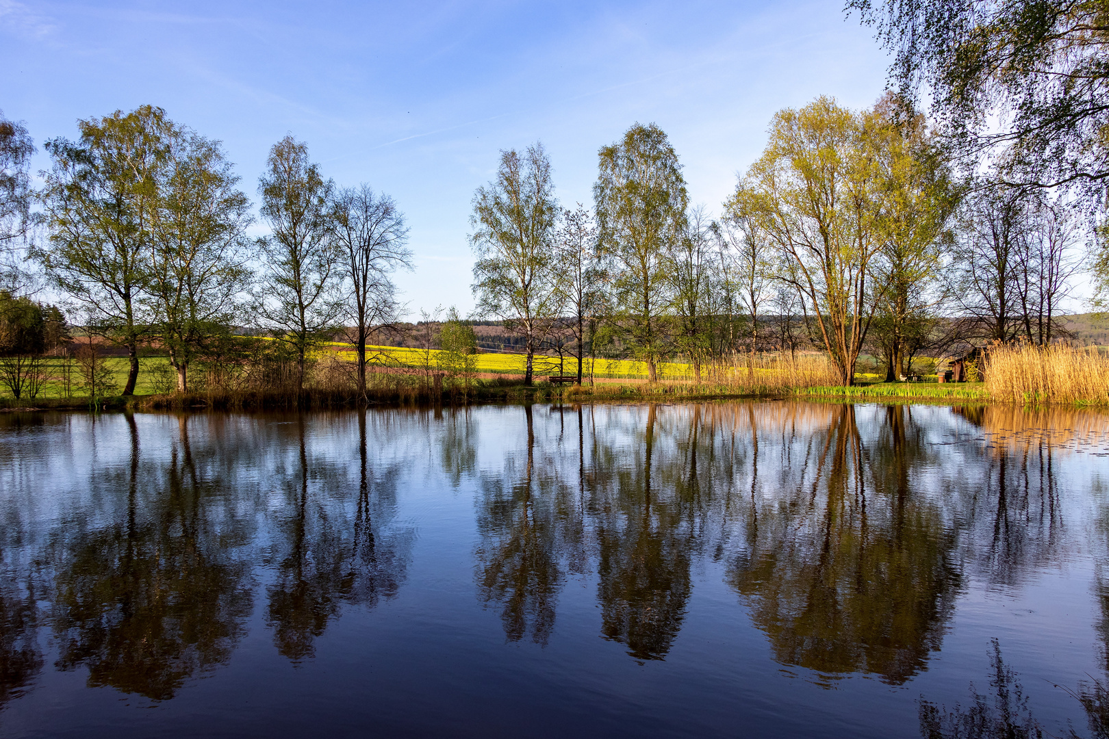 Teich bei Schönhagen im Solling