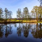 Teich bei Schönhagen im Solling