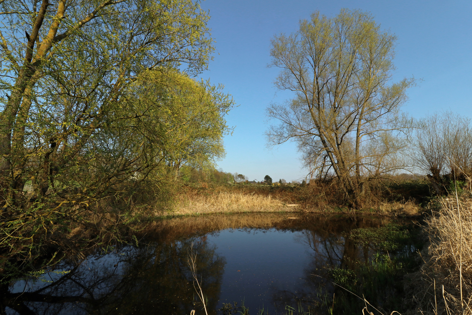 Teich bei Veltenhof