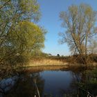 Teich bei Veltenhof