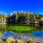 Teich beim grünen See.