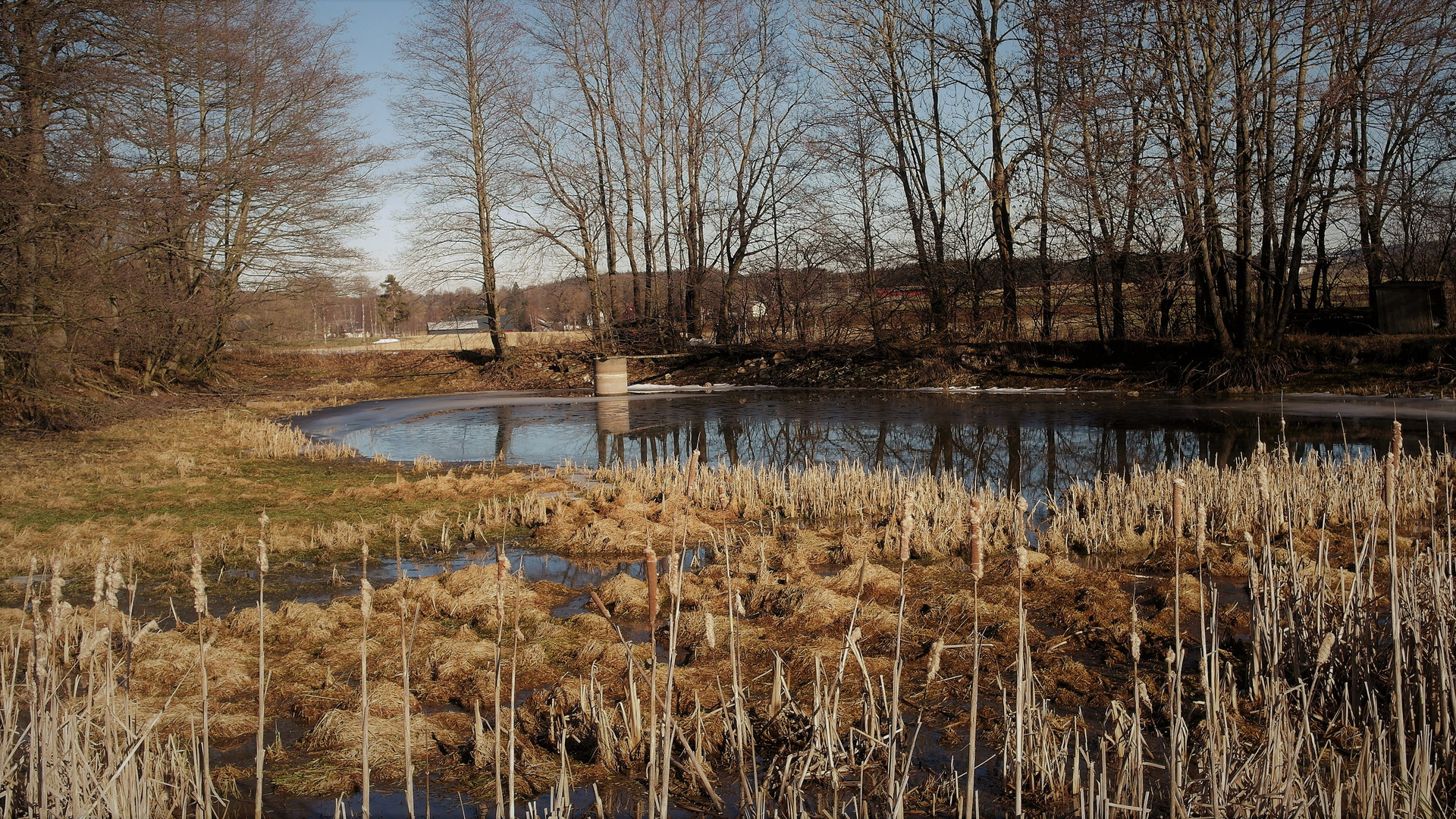 Teich :  Brauche Wasser