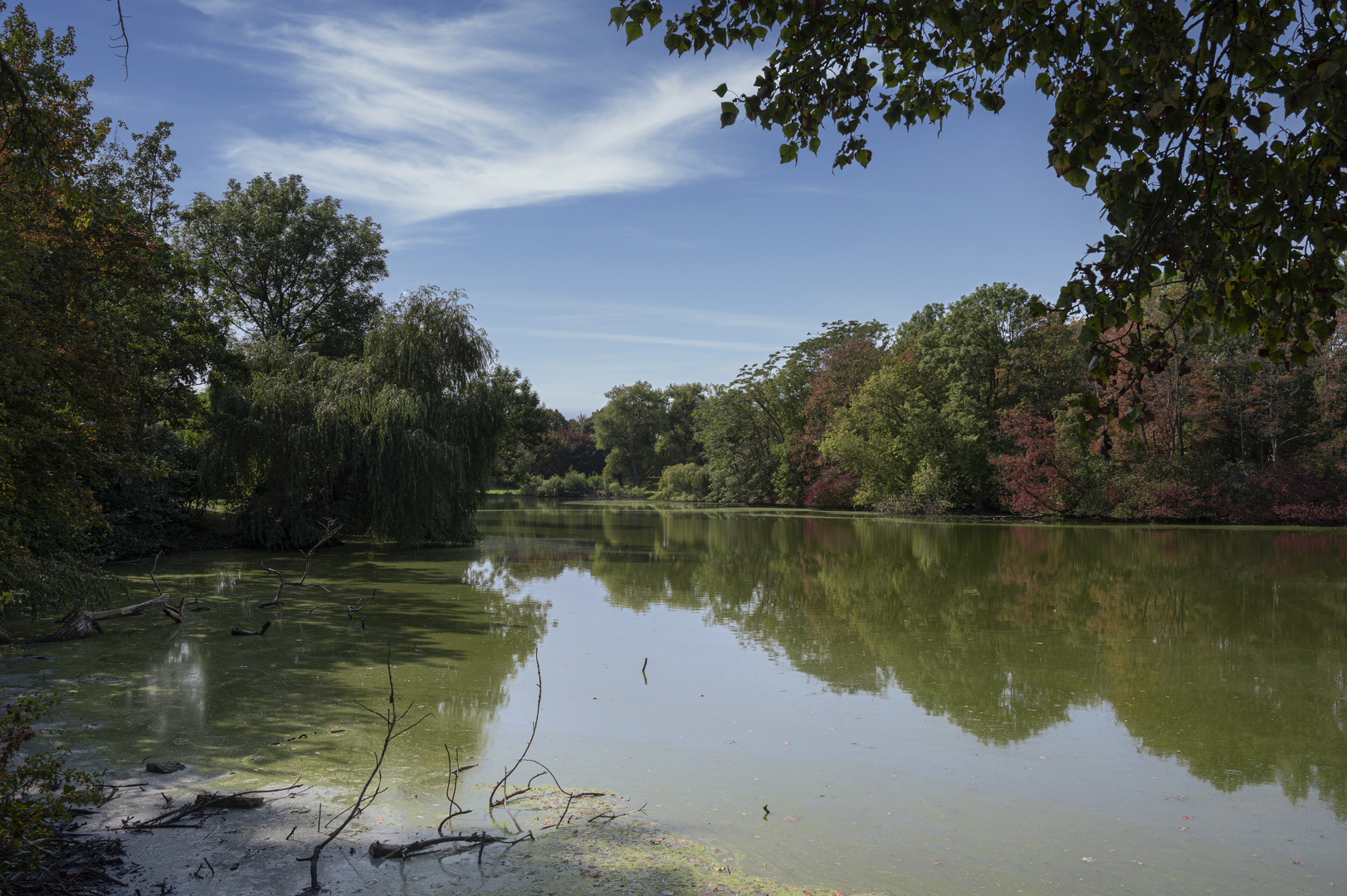 Teich Bürgerpark #1