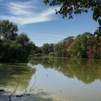 Teich Bürgerpark #1