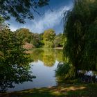 Teich Bürgerpark #2