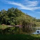 Teich Bürgerpark #3