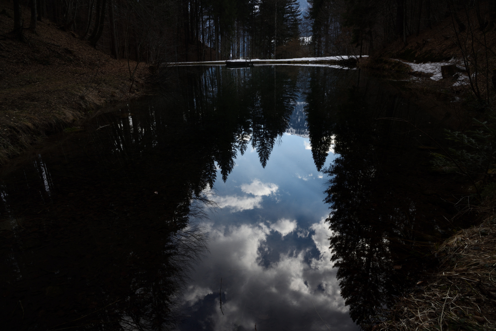 Teich, der über sich hinauswächst.....