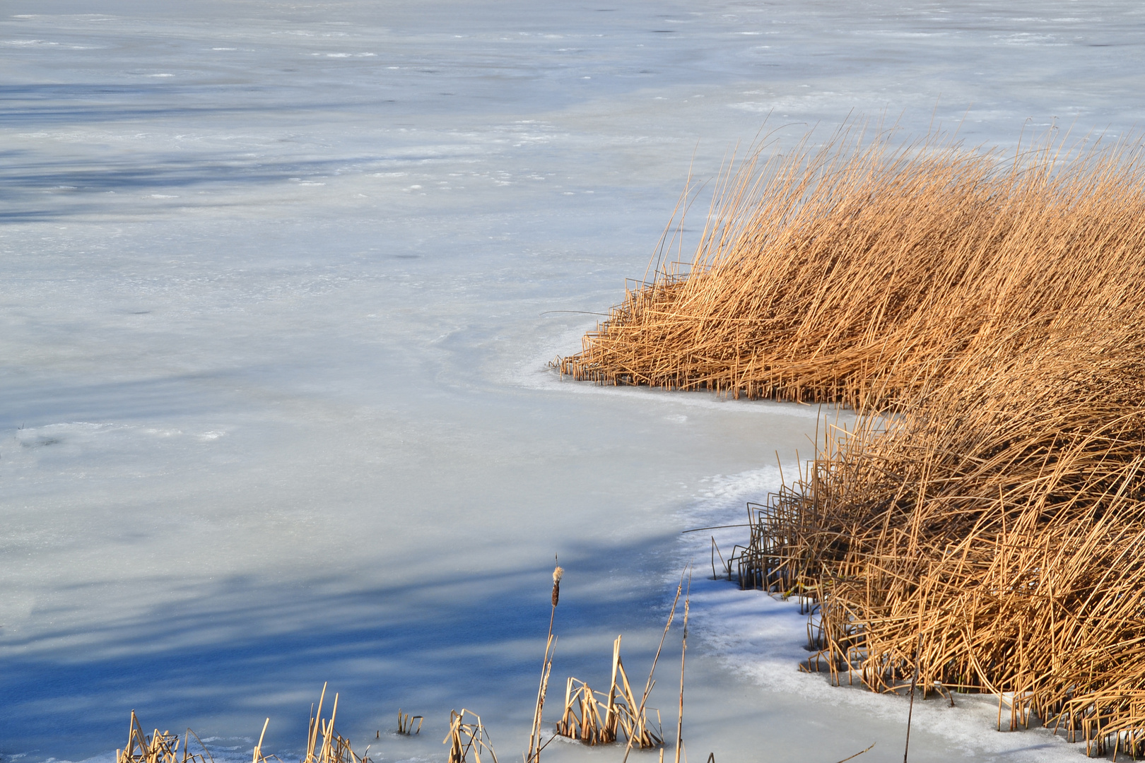 Teich - Eis