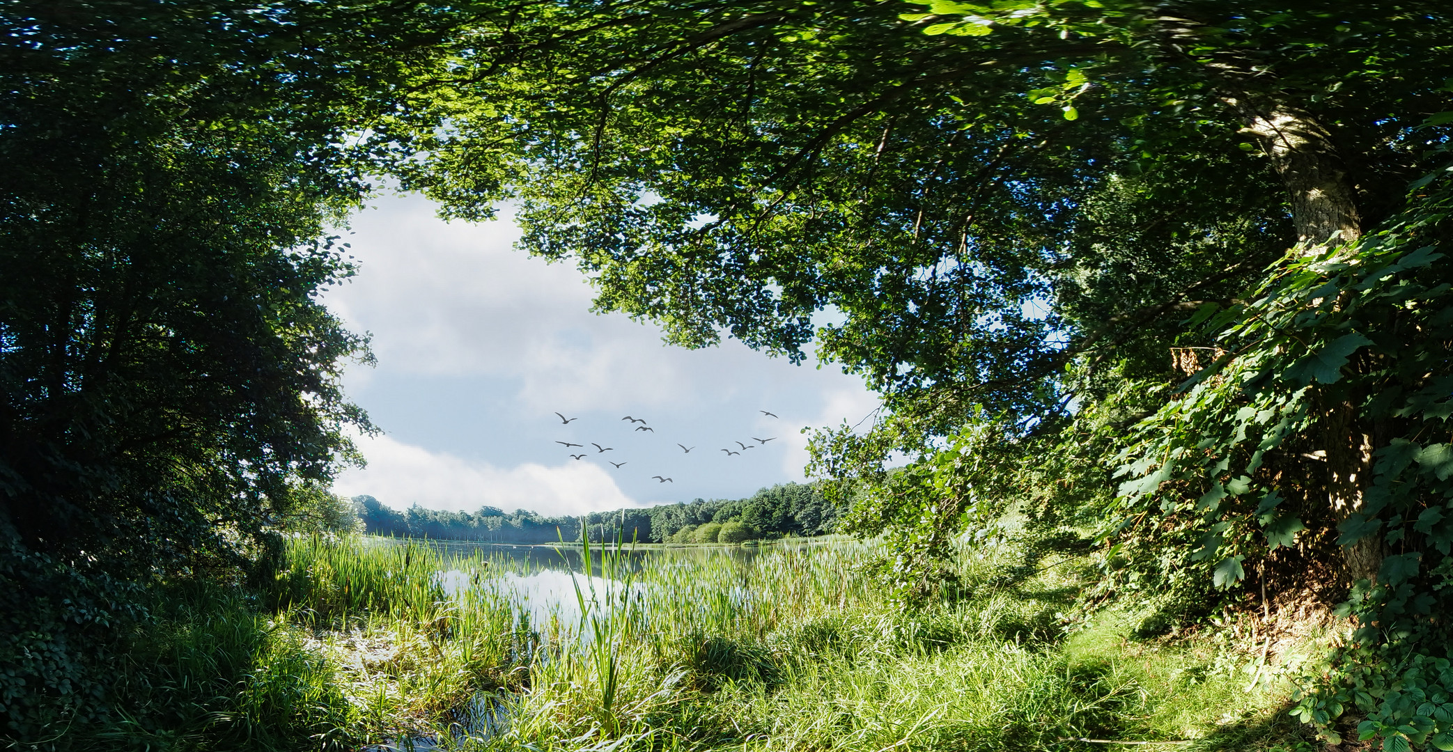 Teich Friedrichroda