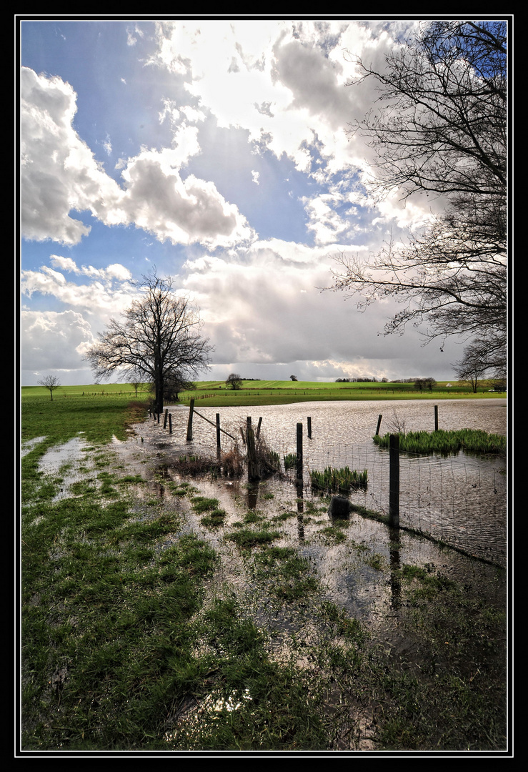 Teich-Frühling