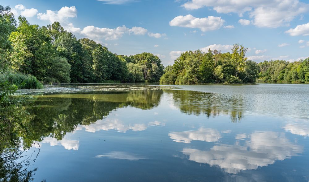 Teich HannoverHemmingen I Foto & Bild landschaft, bach, fluss & see