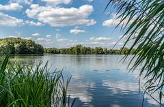 Teich Hannover-Hemmingen II