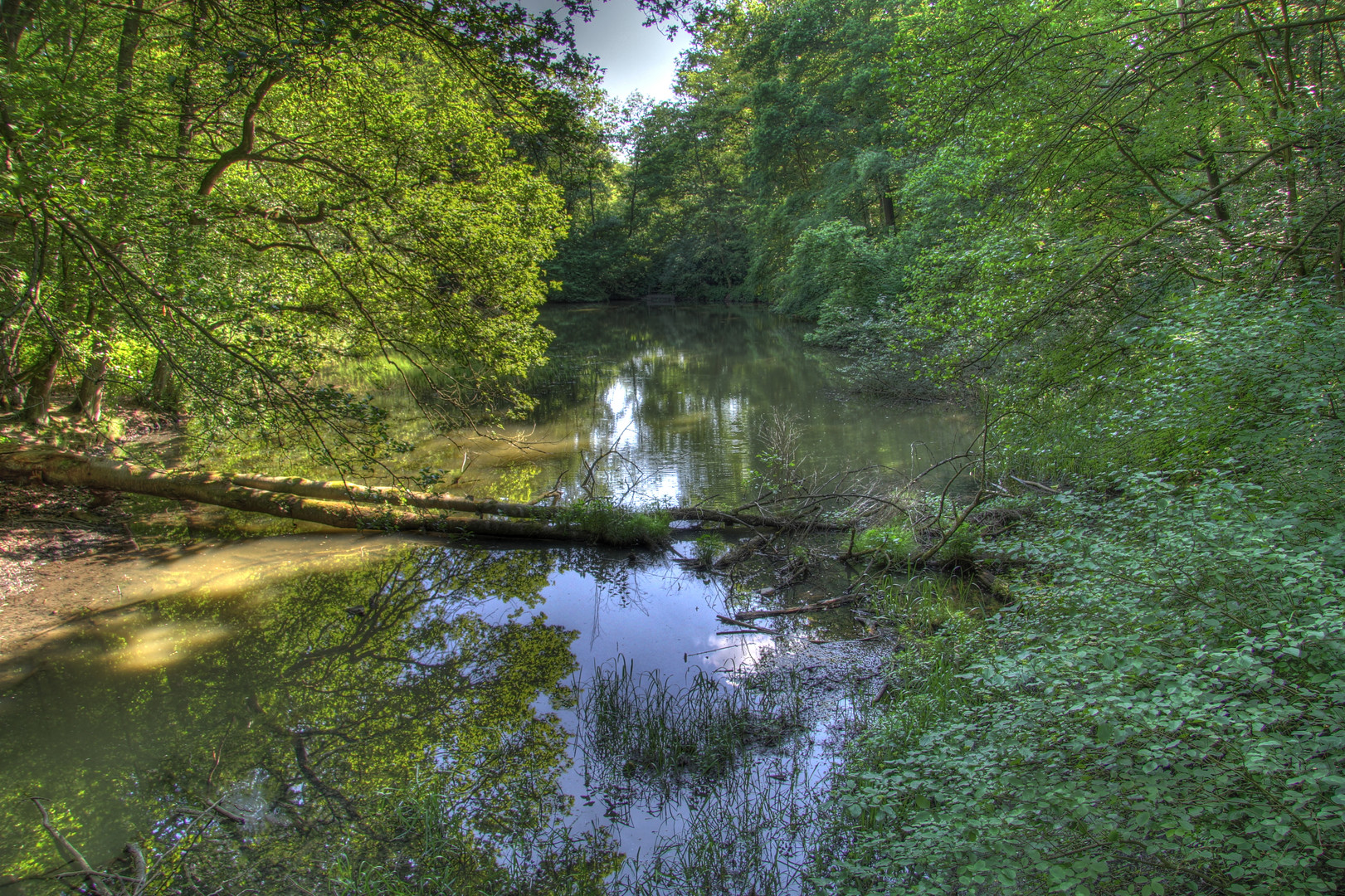 Teich HDR Foto am Botanischen Garten in Ruhr-Universität Bochum