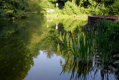 Teich im Abendlicht