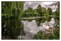 Teich im Alsterpark