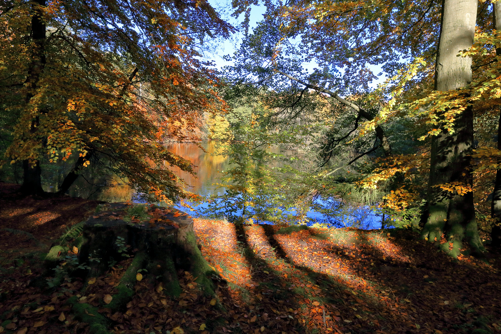 Teich im Bergpark Wilhelmshöhe