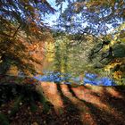 Teich im Bergpark Wilhelmshöhe