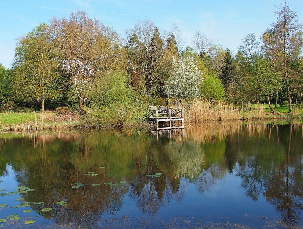 Teich im Botanischen Garten