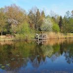 Teich im Botanischen Garten