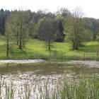 Teich im Botanischen Garten in Ulm