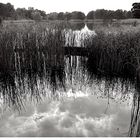 Teich im Britzer Garten