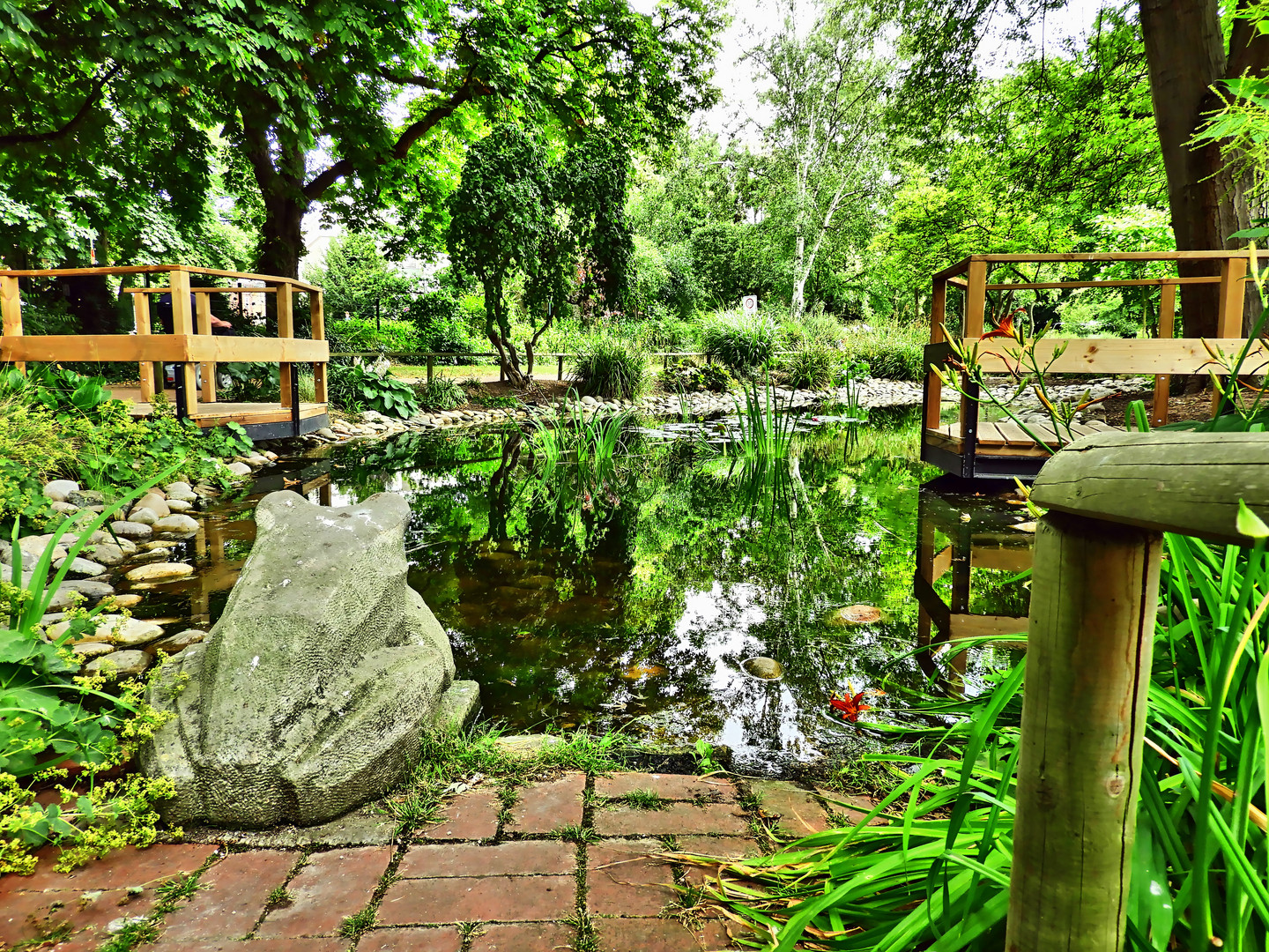 Teich im Bürgergarten Hameln Foto & Bild abstraktes, landschaft