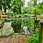 Teich im Bürgergarten Hameln