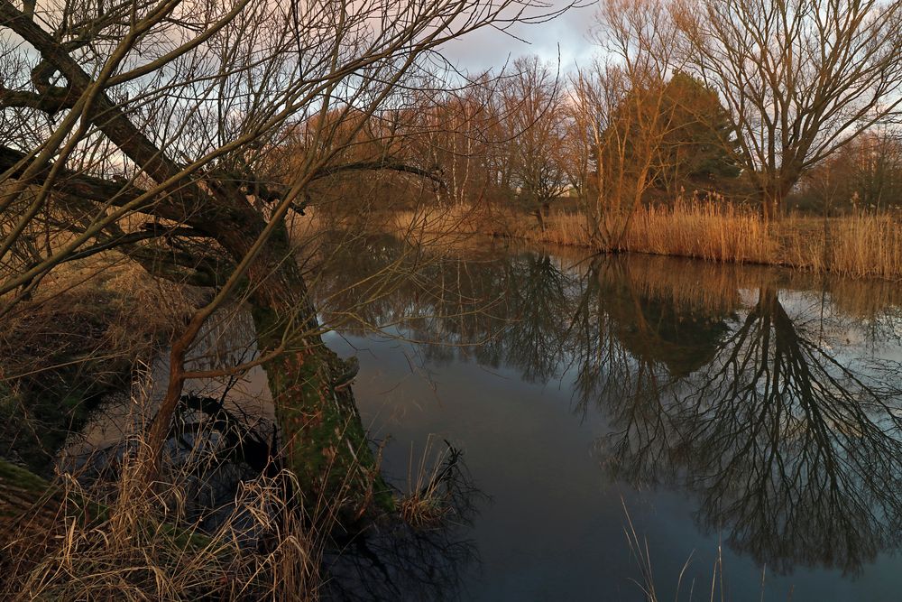 Teich im Dämmerlicht Foto & Bild landschaften, wasser, februar Bilder