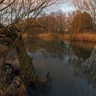 Teich im Dämmerlicht