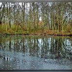 Teich im Dezember