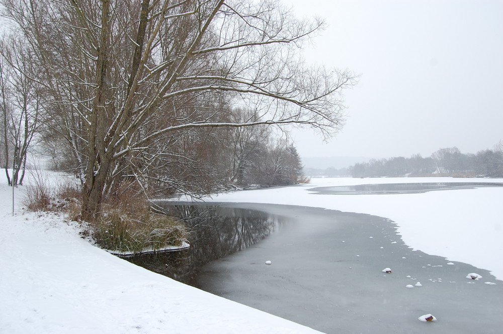 Teich im Donaupark Regensburg