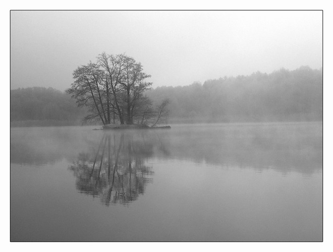 Teich im Dunst