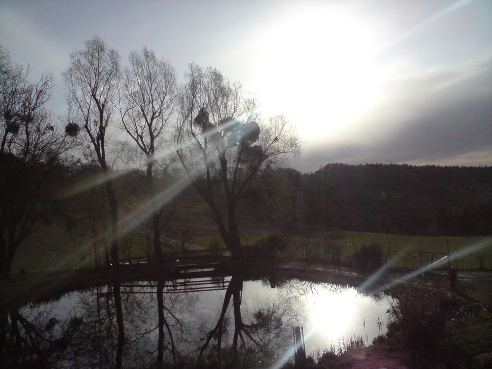 Teich im Frühlingsmorgen