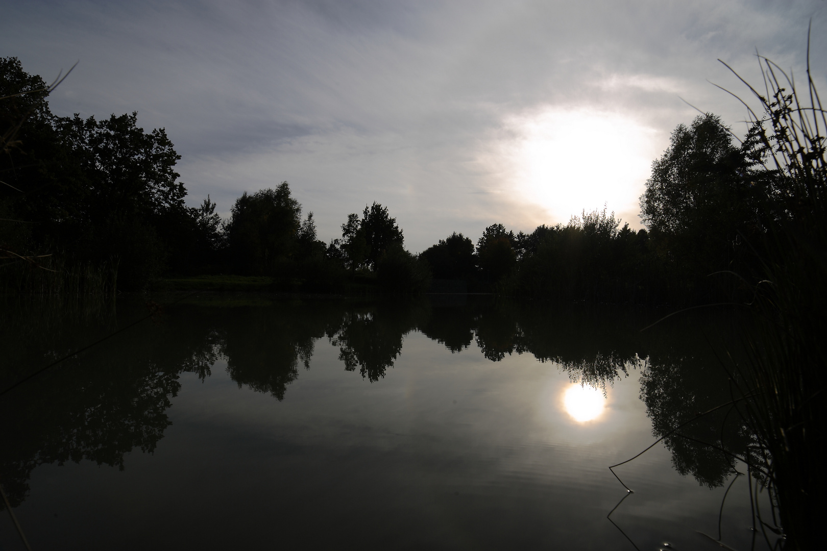 Teich im Gegenlicht