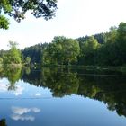 Teich im Göltzschtal