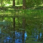 Teich im Grünen