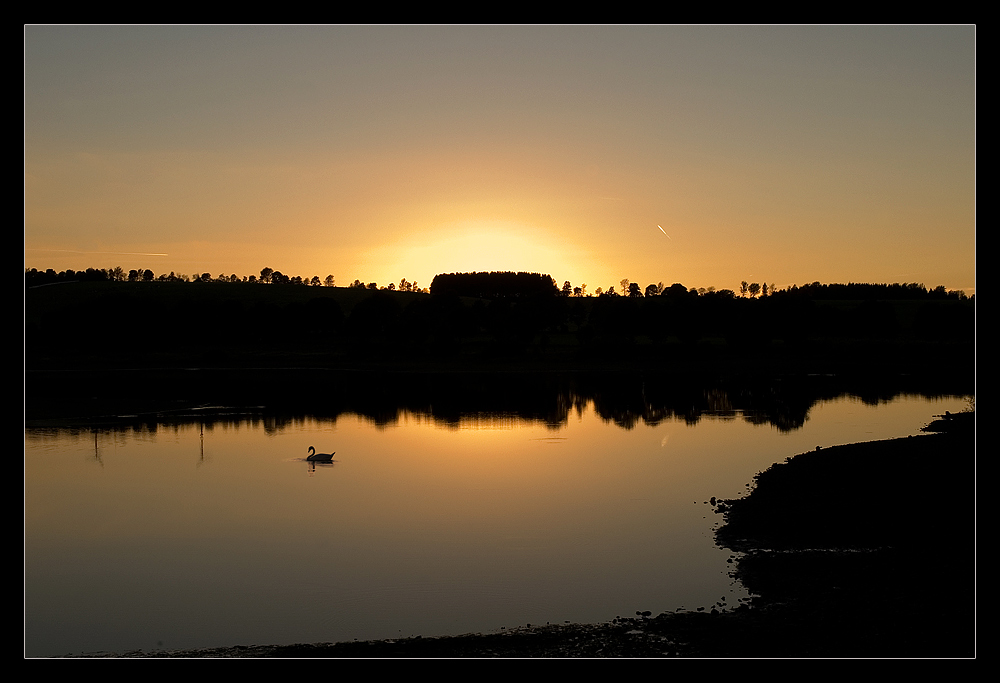 Teich im Harz am Abend