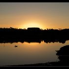 Teich im Harz am Abend