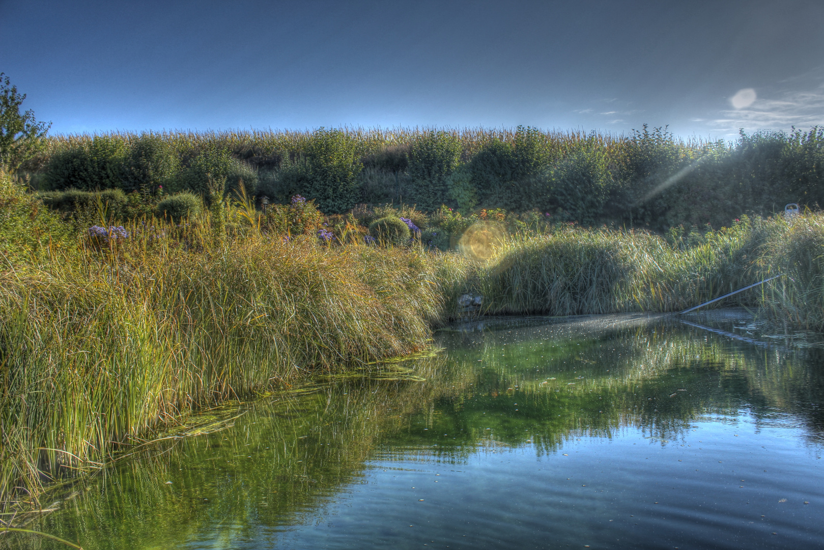 Teich im Herbst