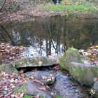 Teich im Herbst