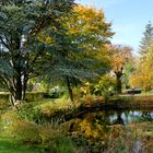 Teich im Herbst