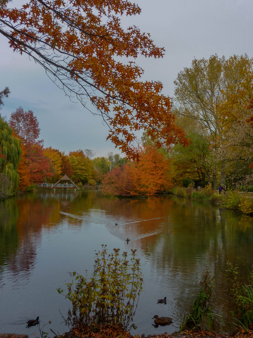 Teich im Herbst