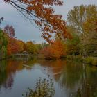 Teich im Herbst