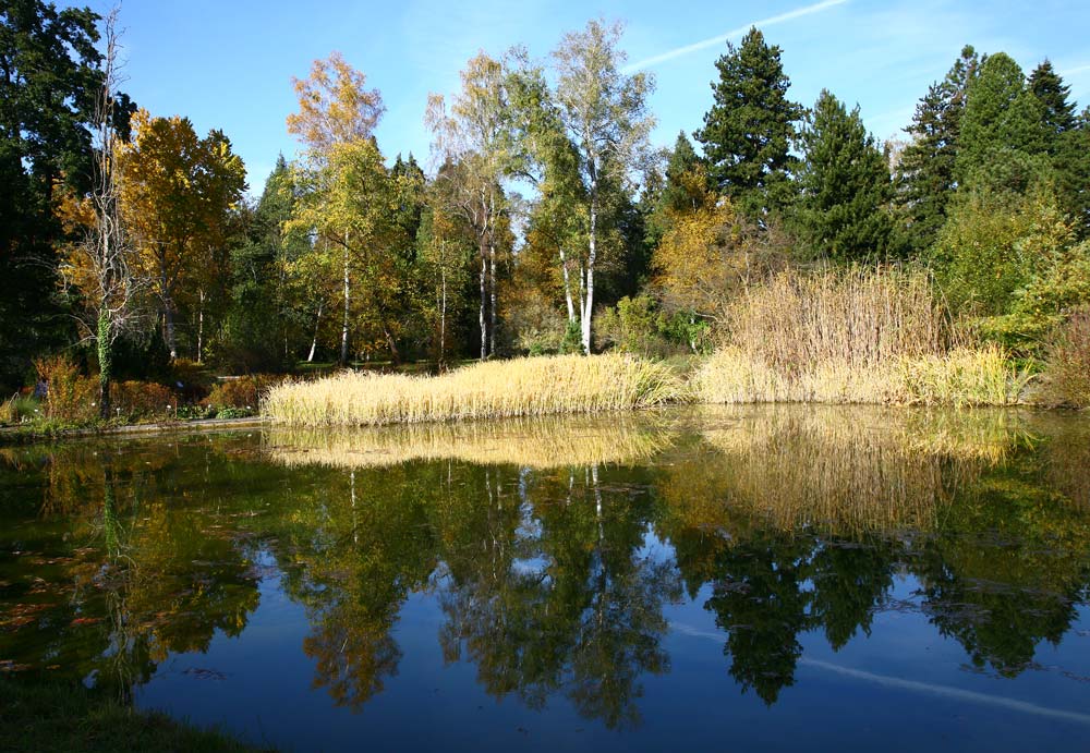 TEICH IM HERBST-BOT GARTEN MÜNCHEN