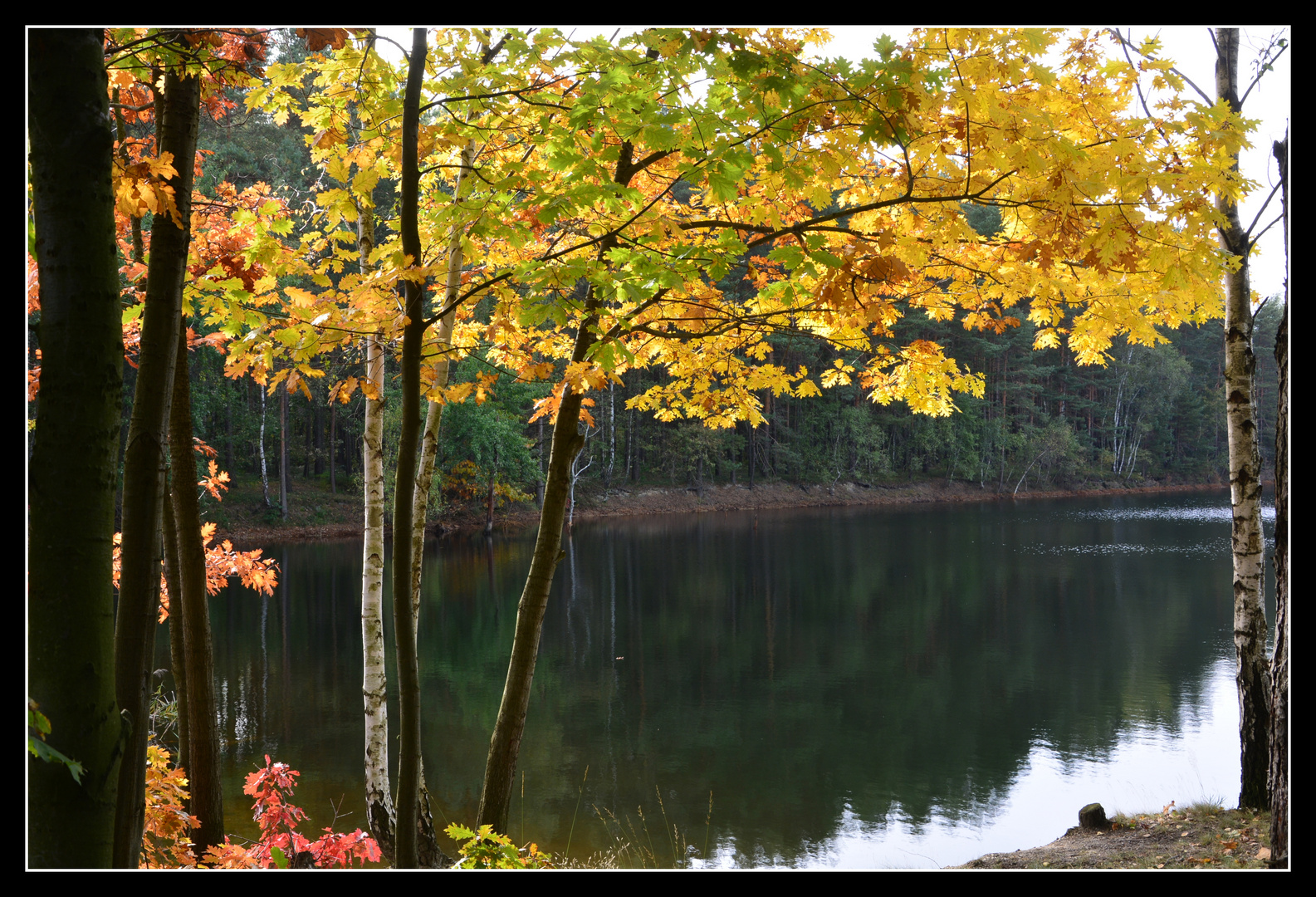 Teich im Herbst Foto & Bild jahreszeiten, herbst, eisenbahn Bilder