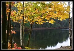 Teich im Herbst